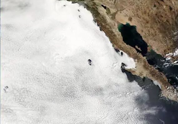 Satellite image of stratocumulus clouds.